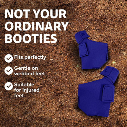 Protective Duck Shoes for Injured Feet - Large Royal Blue