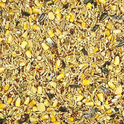 SourceToHome FuenteACasa Kaytee Backyard Wildlife Food Blend For Wild Squirrels — Home & Lifestyle