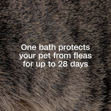 Flea & Tick Shampoo