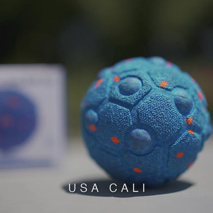 USA CALI Smart Interactive Dog Ball - clip with music